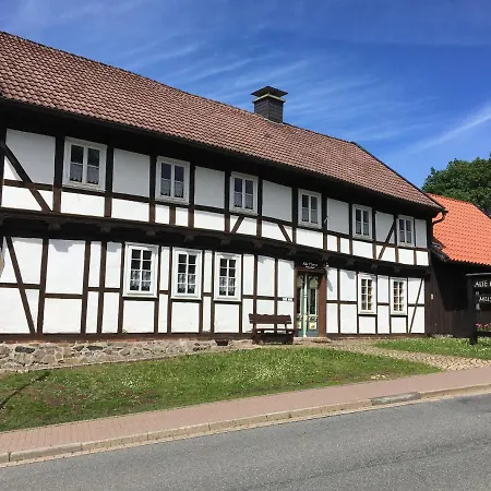 Blockhaeuserfewo1 Harzblick Braunlage Eksteriør billede