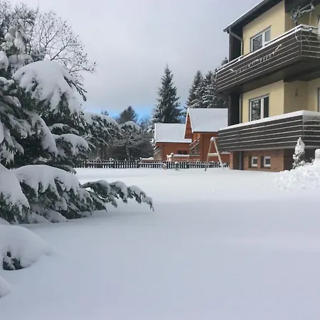 Blockhaeuserfewo1 Harzblick Braunlage Eksteriør billede