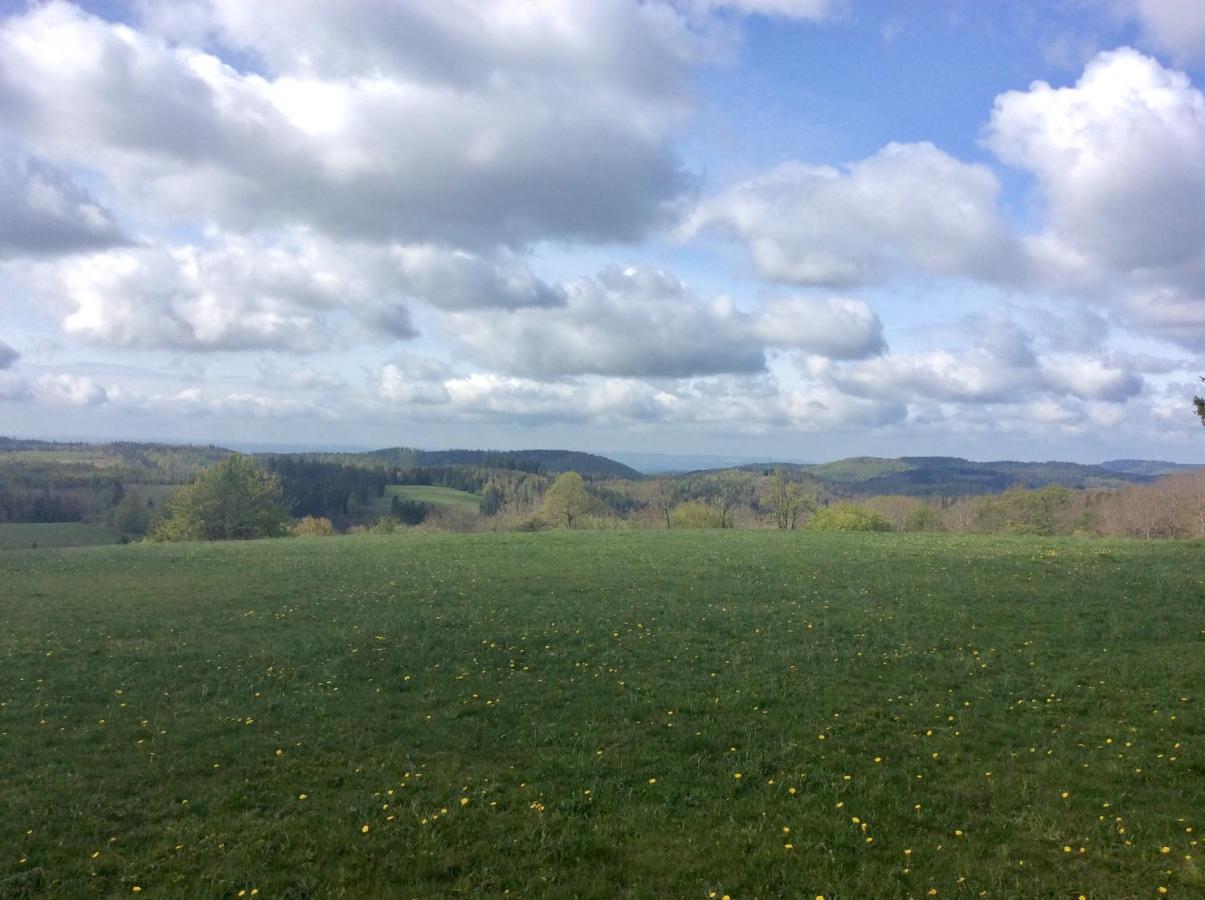 Apartment Blockhaeuserfewo1 Harzblick Braunlage