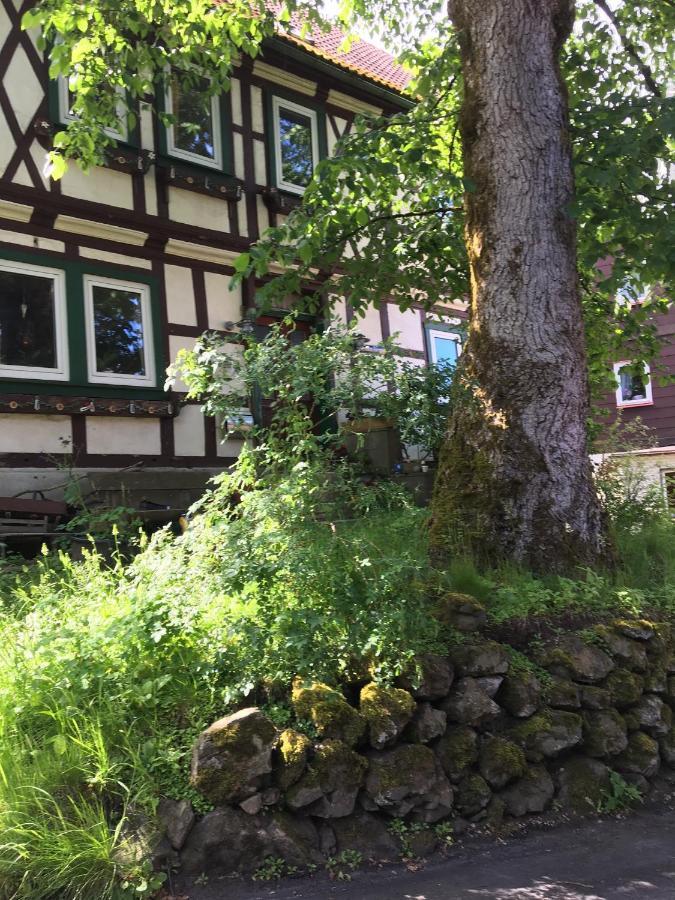 Blockhaeuserfewo1 Harzblick Apartment